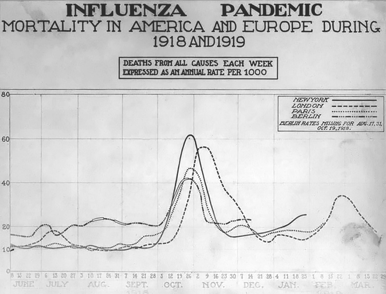 Graficul deceselor cauzate de gripă