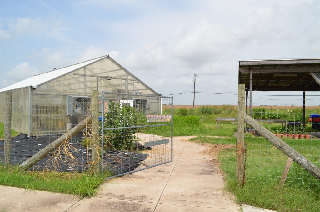 The entrance to Austin Community College's Sustainable Student Farm located at the Elgin campus.