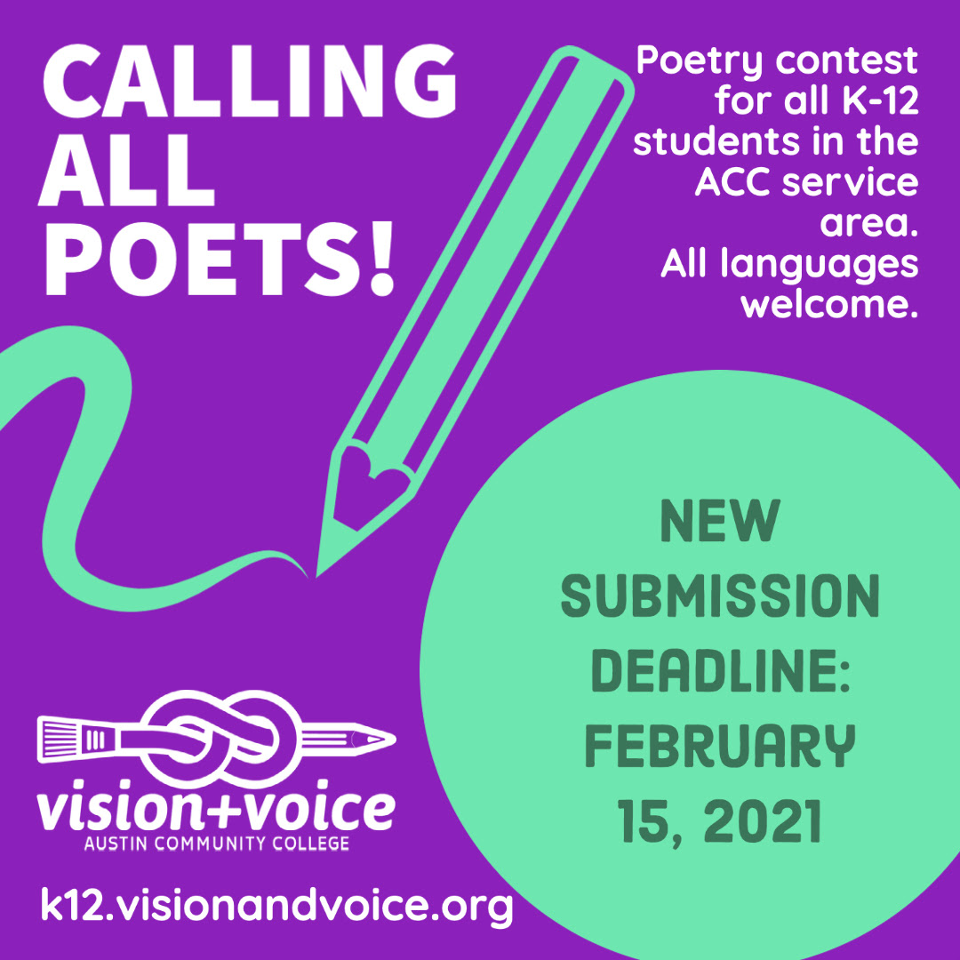 Vision + Voice Deadline Extension
