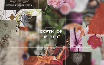 Depth of Field: Nicole DiMucci Potts