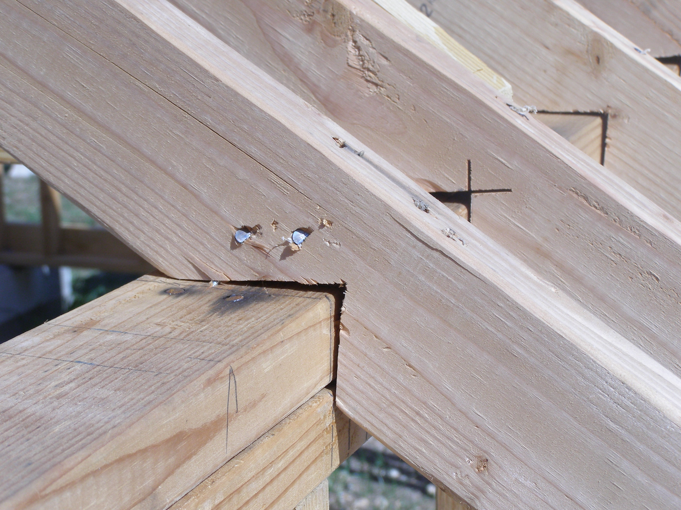 roof birds eye rafters cut