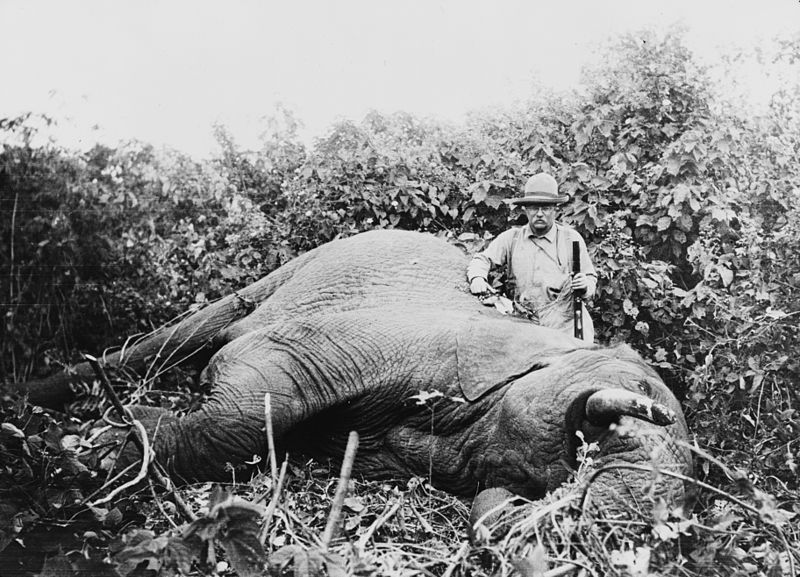 Teddy Roosevelt on African Safari