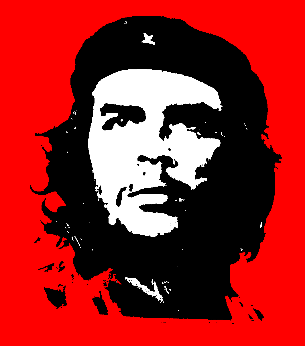 Iconic Che Guevara Image