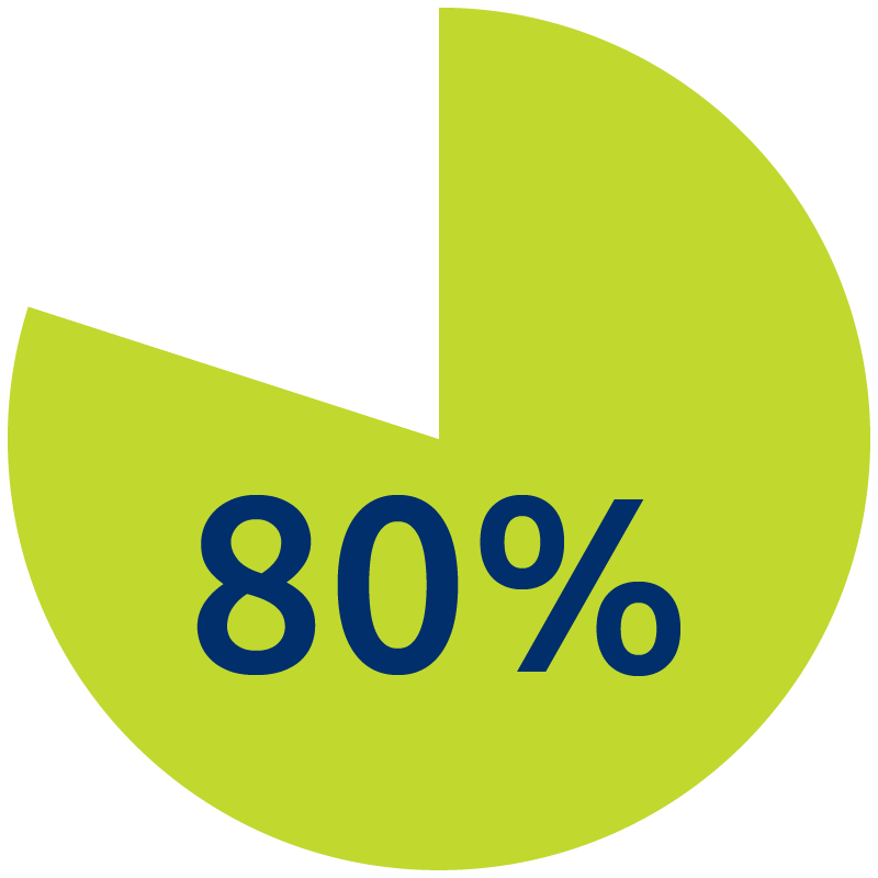 pie chart showing 80%
