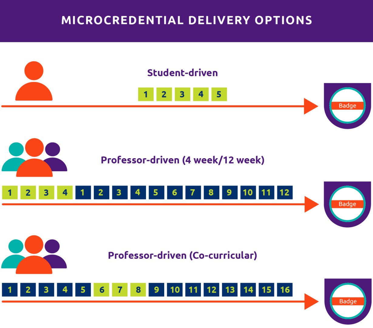 Illustration for the three options for microcredential delivery