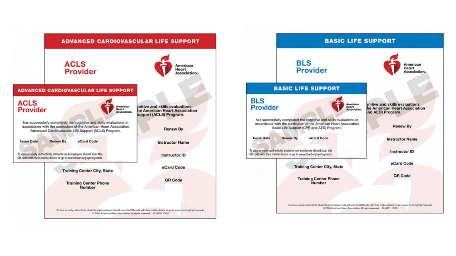 CPR Certifications approved by the American Heart Association for Advanced Cardiovascular Life Support (ACLS) or Basic Life Support (BLS).