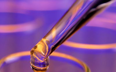 ABI welcomes new member company KinetoChem LLC