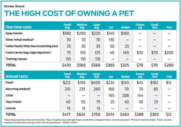 Thinking on Getting a Pet? Things to Consider. – Student Money ...