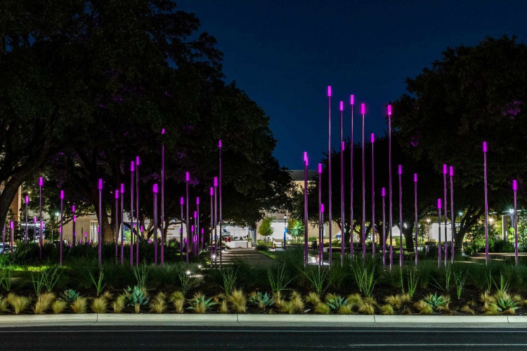 Night photo of purple lights on 73 poles of different heights at Highland Campus Fontaine Plaza Park